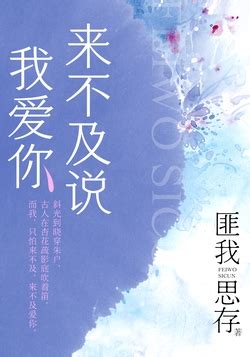 来不及说我爱你（钟汉良、李小冉主演）-匪我思存-微信读书