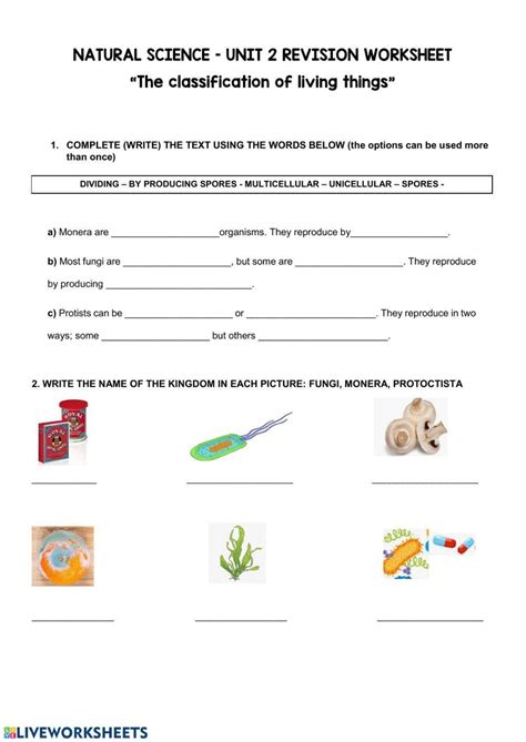 Image result for Classification Living Things Worksheet