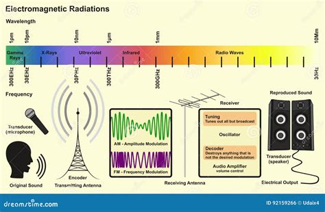 Electromagnetic Spectrum Diagram Vector Illustration | CartoonDealer.com #95762620