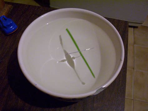 Image result for DIY Compass Circle