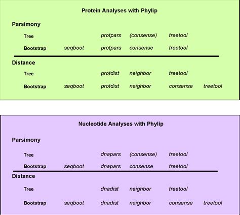 Generating multiple sequence alignments and trees with Phylip