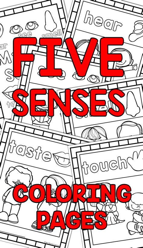 Five Senses Coloring Pages