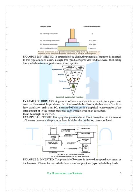 Image result for Ecosystem Structure and Function 12 NCERT