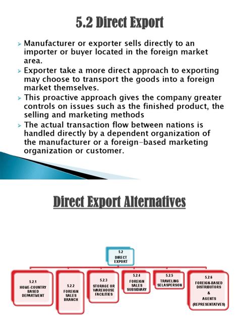 Example Direct Export 的图像结果