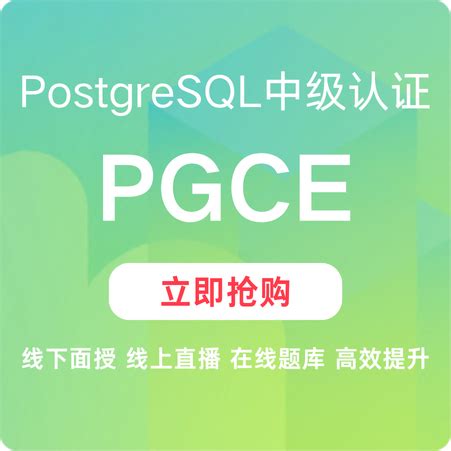 PostgreSQL Full-Course 的图像结果
