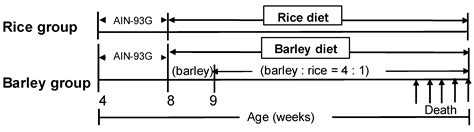 Association of Lifelong Intake of Barley Diet with Healthy Aging ...
