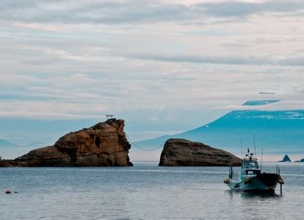 jQuery Plugin For Terminal-Like Animated Background - Bgterminal ...