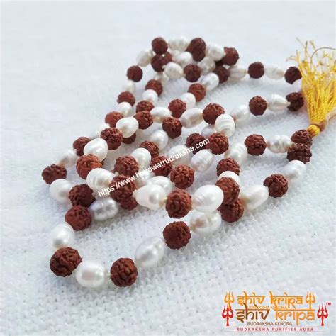 Rudraksha & Pearl Mala 54+54+1 beads – Shiv Kripa Rudraksha
