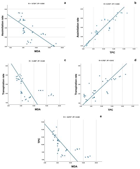 Mitigation of Oxidative Damage Caused by Salinity in the Halophyte ...