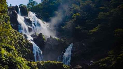 Danpuri Waterfall (दानपुरी झरना), Jashpur, Chhattisgarh - 36 ख़बर