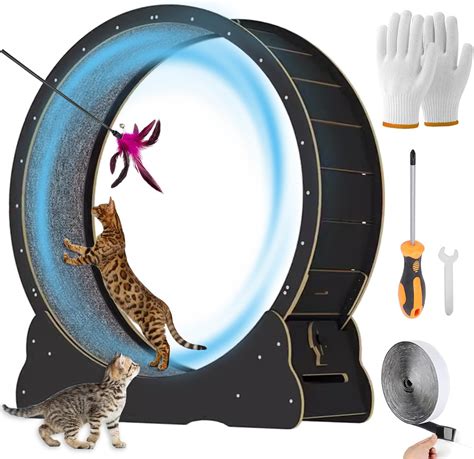 Amazon.com : Docal Cat Exercise Wheel for Indoor Cats, Diameter 39.4 ...