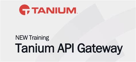 Image result for Tanium REST API VSAPI Gateway