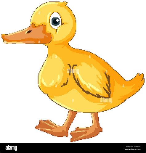 Little yellow duck cartoon character illustration Stock Vector Image & Art - Alamy