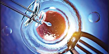 Image result for In Vitro Reproduction