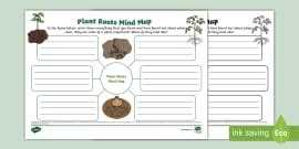 Plant Roots Worksheet / Worksheet