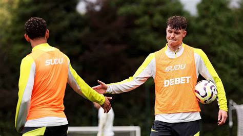 Express and Star Wolves 的图像结果