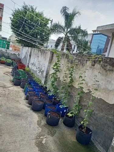 Plant Grow Bags - Grow Bags Geo Fabric Trader - Wholesaler ...