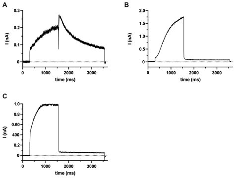 The hEag1 K+ Channel Inhibitor Astemizole Stimulates Ca2+ Deposition in ...