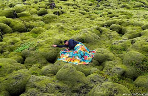 Iceland's Eldhraun Lava Field - Unmissable Sights Of Moss Covered ...