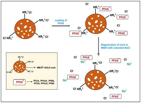 Ion Exchange MIEX® GOLD Resin as a Promising Sorbent for the Removal of PFAS Compounds