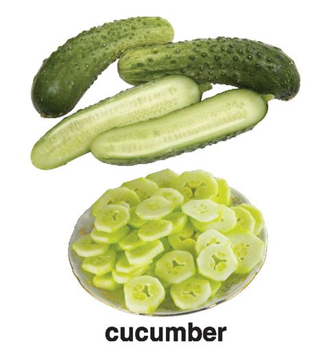 JoGenii | First Padded Board Book - Vegetables | Dreamland Publications