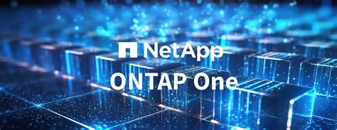 Image result for NetApp Ontap Network