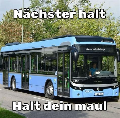 halt dein maul | Cute memes, German humor, Reaction pictures