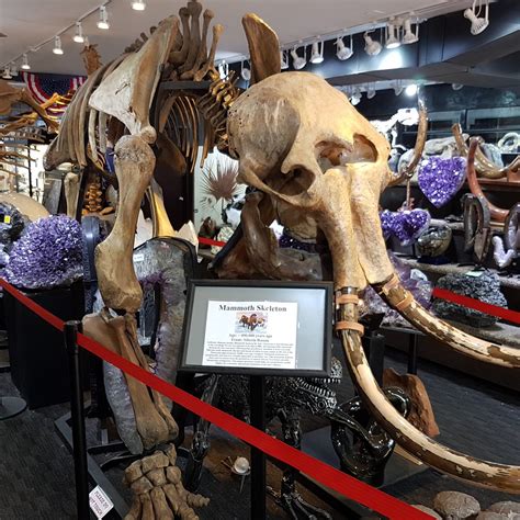 COLUMBINE OF ASPEN (2026) All You Need to Know BEFORE You Go (with ...