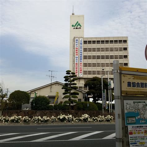 MAWA ROSE (2025) All You Need to Know BEFORE You Go (with Photos ...