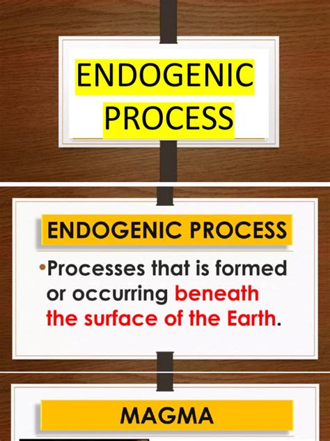 Examples of Endogenic Process 的图像结果
