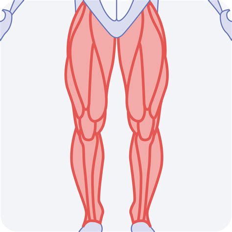 Burning Sensation in Leg Below Knee Causes and Solutions Explained