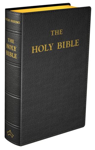 Image result for Douay-Rheims Bible Cover