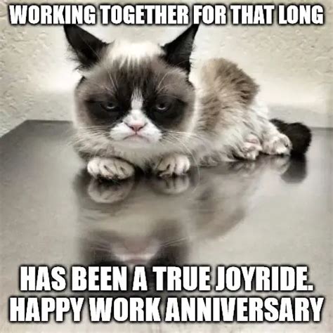 56 Office Meme Office Happy Work Anniversary Images