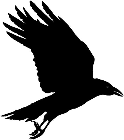 Free Black Raven Cliparts, Download Free Black Raven Cliparts png ...