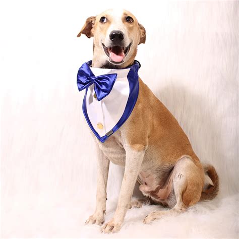 Bandana – Petriot India