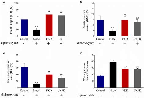 The Manufacturing Process of Kiwifruit Fruit Powder with High Dietary ...