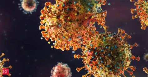 Marburg Virus Outbreak: Marburg virus disease: Check symptoms ...