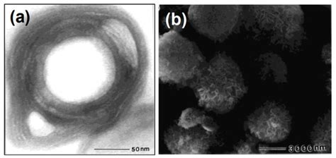Supramolecular Gel as the Template for Catalysis, Inorganic ...
