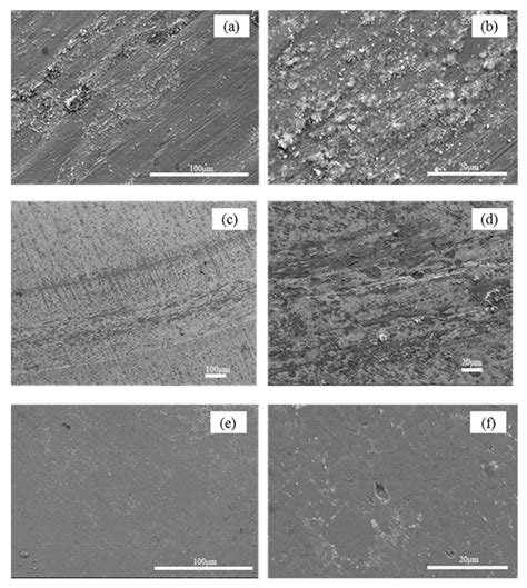Experimental and Numerical Study on Friction and Wear Performance of ...