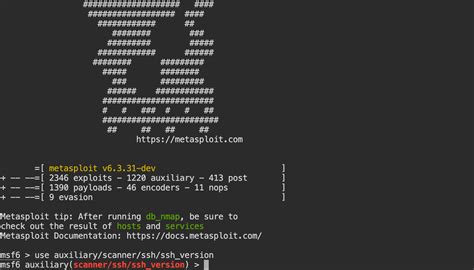 Image result for How to Use Metasploit