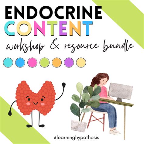 Image result for Endocrine System Lesson