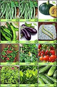 Creative Farmer Air Purifying Plants Combo Vegetable Seeds : Cowpea (Vj ...