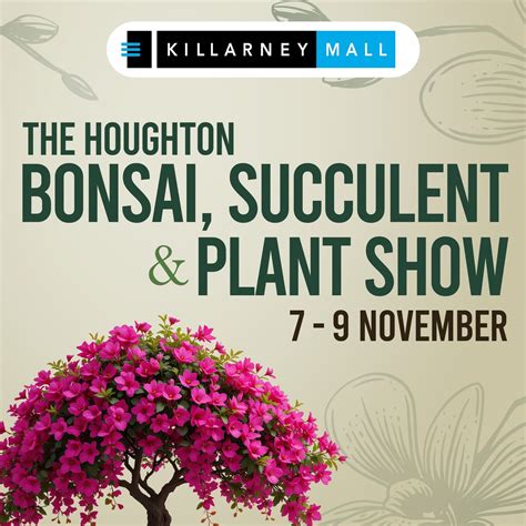 The Houghton Bonsai, Succulent and Plant Show, 60 Riviera Rd, Killarney ...