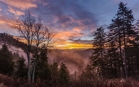 Newfound Gap Tn Weather