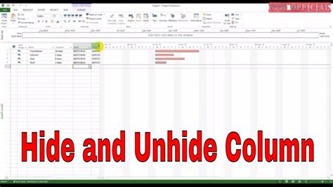 How To Hide And Unhide Columns In Microsoft Project