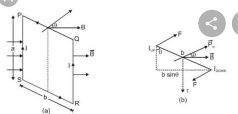 Draw a neat labelled daigram of torque on current loop in a magnetic ...
