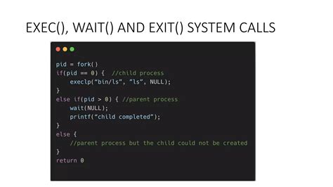 Orphan Process 的图像结果
