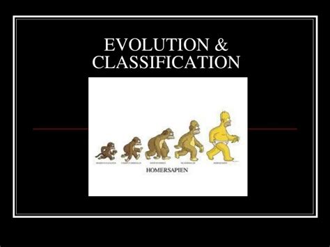 Classification by Color Code in Evolution 的图像结果