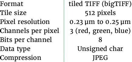 Tagged Image File Format 的图像结果