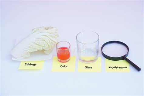 Image result for Science Lesson Activity Photo
